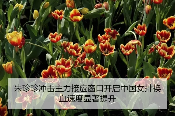 朱珍珍冲击主力接应窗口开启中国女排换血速度显著提升