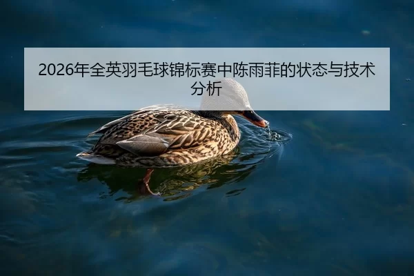 nian-quan-ying-yu-mao-qiu-jin-biao-sai-zhong-chen-yu-fei-de-zhuang-tai-yu-ji-shu-fen-xi-2-781.jpg