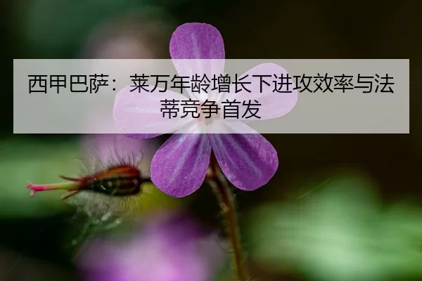 西甲巴萨：莱万年龄增长下进攻效率与法蒂竞争首发